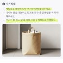 운동화&이불빠는날 | [비대면 세탁]당근마켓 크린토피아/이불,운동화,셔츠 후기