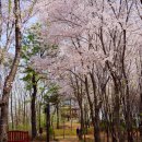 검배공원 이미지