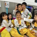 인계스타태권도장 이미지