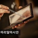 101마리 애견 이미지