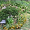 펫더가든 이미지