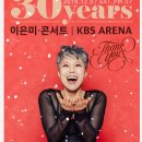가수 이은미 콘서트 이미지
