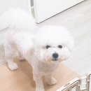 상모동물병원 이미지