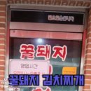 꿀돼지김치찌개