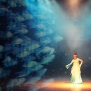 최승희의 아리랑 이미지