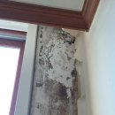 주약현대2차아파트 이미지