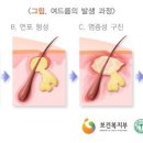 한국인삼연초연구소