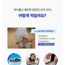 🌈🐶 라이프펫 멀티밸런스 솔직후기 🐶🌈