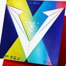 탁구(중급) 이미지