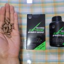 마카 트레이닝 이미지