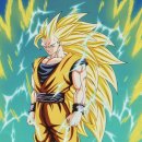 하드캐리짐 이미지