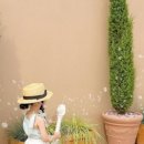 이솝 키즈풀빌라 펜션 이미지