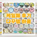 [페어하울] 25년 케일페 쇼핑 4n만원 하울하기 + 부스후기