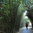 남도민박 이미지