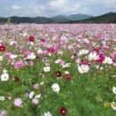 언양한우불고기 이미지