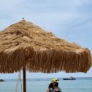 진동계곡산장2 이미지