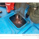 농소민박 이미지