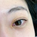 세인뷰티랩 | 익산속눈썹펌잘하는곳 솜리뷰티랩 유지력좋은익산속눈썹펌추천!