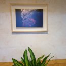 미정복어 이미지