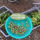 삼성노인복지센터경로식당 이미지