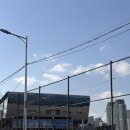 수산1리 마을회관 | 노량진수산시장 횟집 공주상회 초장집 양념집 수산회관 내돈내산 방문 맛집 추천 후기