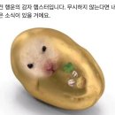 지에스25크라운점 이미지