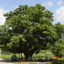 큰바위펜션 이미지