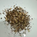 소티제로 이미지