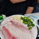 동대구회