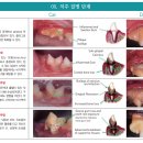 서산동물병원 이미지