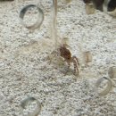 나비 불한증막 | [경기 구리] 오이원 521생태체험장 두번째 방문후기 성공한덕후 생물도감 실물영접! 수현이의 행복한하루