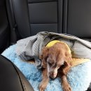 서원동물병원 이미지