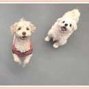 아이조아 요양보호소 경기광주 이미지