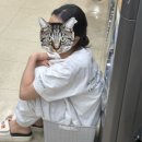 주은세탁 이미지