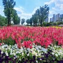 종합운동장 그라운드골프장 이미지