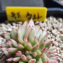 푸르농장 이미지