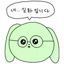 다이소홍천 이미지