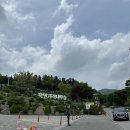 하모니 | 용인 자작나무숲 ::: 베툴라 카페, 5월 수국축제 다녀온 후기!