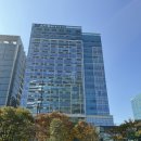 치즈폴댄스 이미지