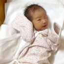 행운동-13 이미지