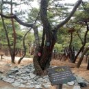 산막이옛길 관광안내소 네이버블로그