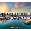 뉴포트비치 티스토리