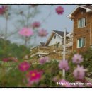 다울펜션 이미지