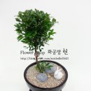 피어리스방