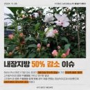 무궁화별 | 무궁화다이어트 효능 복용법 내돈내산 후기