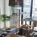 카페 모퉁이 이미지