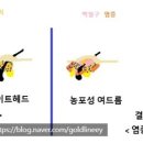 착한피부과의원 | 간호조무사로 동네 피부과에서 근무하면서 좋은 점!