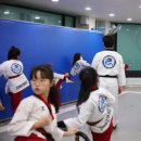 고려용호태권도 이미지