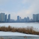 광교호수로-1 이미지