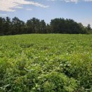 회수마을회관 이미지